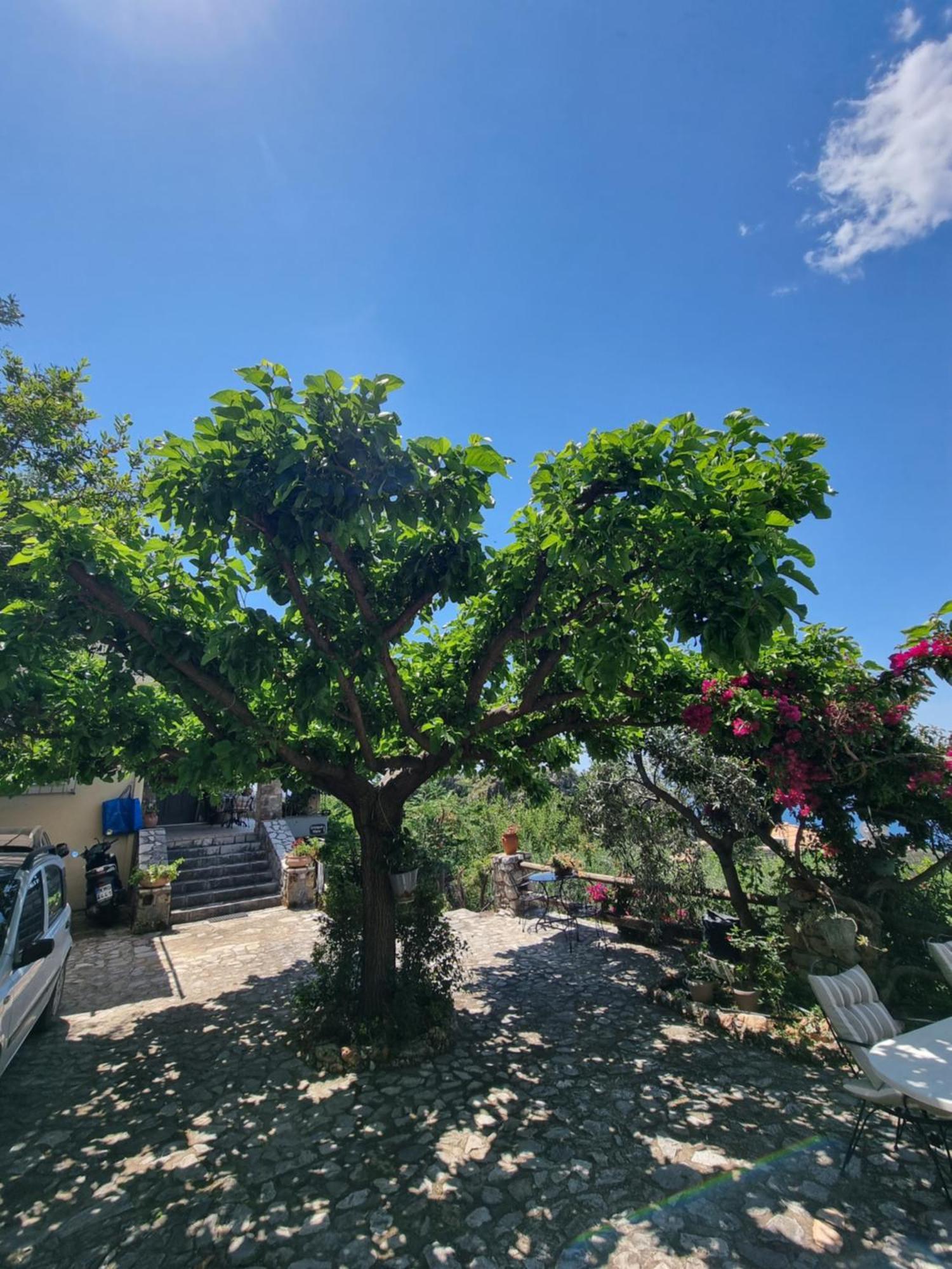 קלמאטה Unique View Apartment מראה חיצוני תמונה